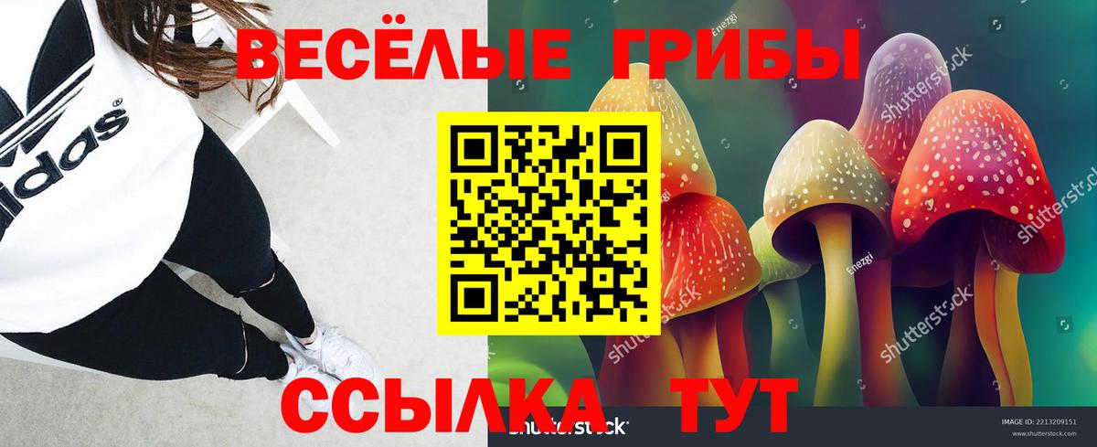 Псилоцибиновые грибы прущие грибы  наркота  Электрогорск  Псилоцибиновые грибы ЛСД  Вход с VPN 